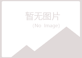 大理白族夏岚能源有限公司